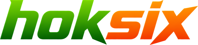 hoksix Logo